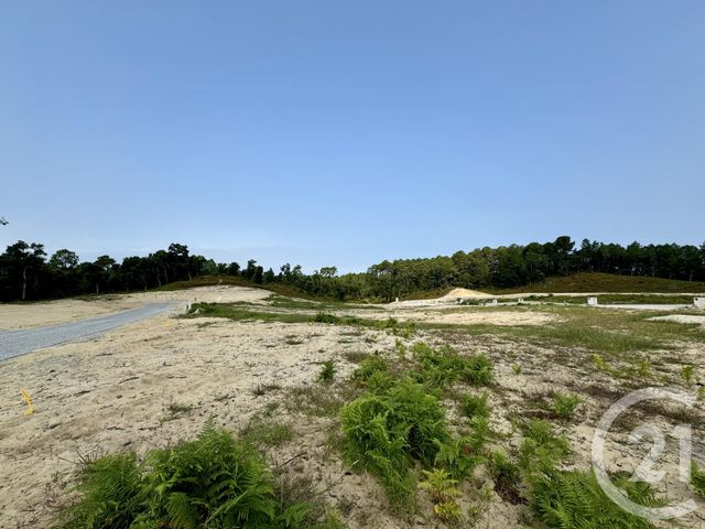 Terrain à vendre - 450 m2 - Labenne - 40 - AQUITAINE